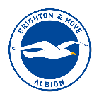 Brighton badge