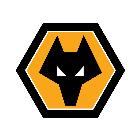 Wolves badge